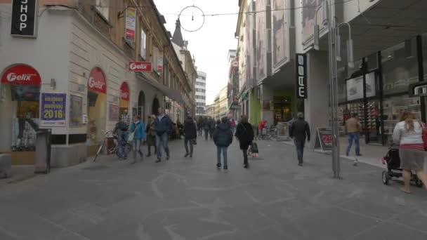 Ljubljana Mağazaları Restoranları Olan Kalabalık Bir Cadde — Stok video