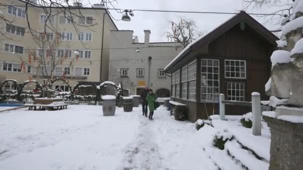 公園内の雪の路地 — ストック動画