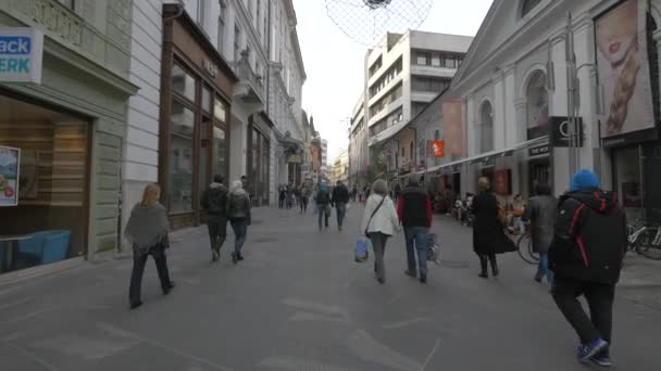 Nsanlar Ljubljana Polis Caddesinde Yürüyor Alışveriş Yapıyorlar — Stok video