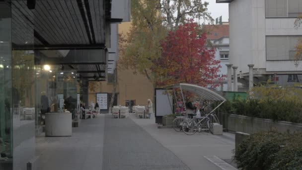 Entrée Centre Commercial Sur Place République — Video