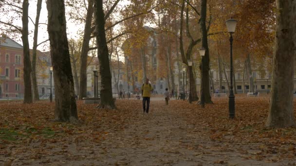 Caminando Por Parque — Vídeos de Stock