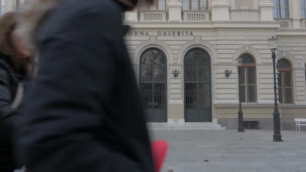 国家美术馆的入口 — 图库视频影像