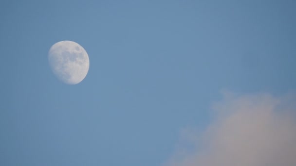 Luna Sul Cielo Sera — Video Stock