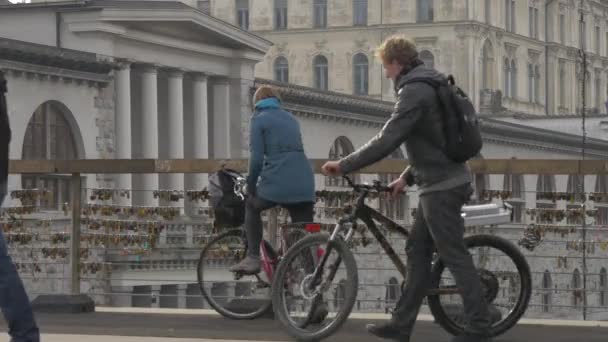 Voetgangers Een Brug — Stockvideo