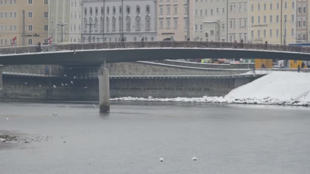 Salzburg Köprüsü Salzach Nehri Ndeki Kuşlar — Stok video