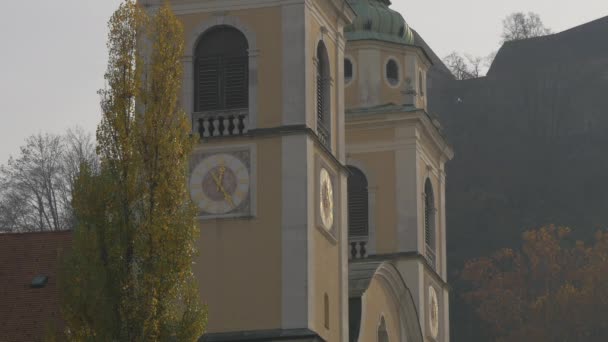 Вежі Люблянського Собору — стокове відео