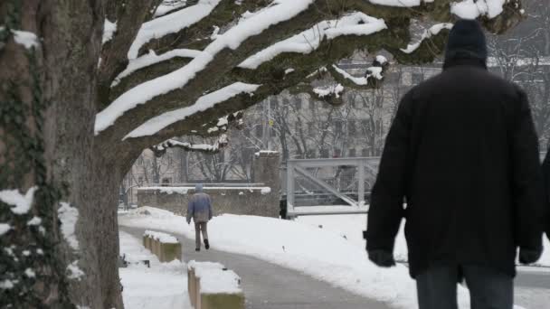 Gente Caminando Por Callejón Cubierto Nieve — Vídeos de Stock