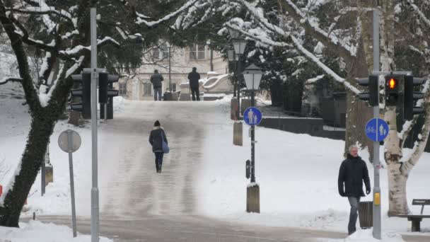 Persone Che Camminano Vicolo Innevato Parco — Video Stock