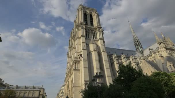 Vista Lateral Catedral Notre Dame París — Vídeo de stock