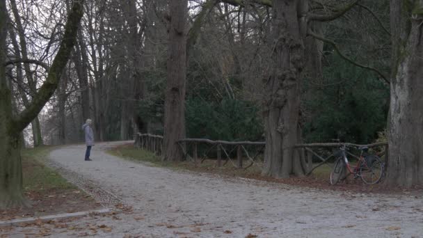 Footage Relaxing Tivoli Park — Vídeo de stock