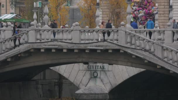 Caminhando Ponte Tripla — Vídeo de Stock