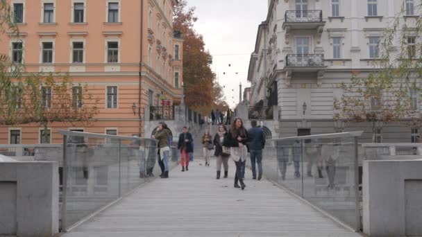 Caminhando Uma Passarela — Vídeo de Stock