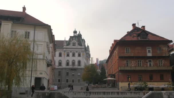 Ljubljanas Universitet Och Andra Byggnader — Stockvideo