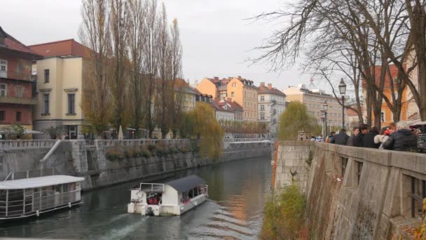 Ljubljanica Nehri Nde Yüzen Tekne — Stok video