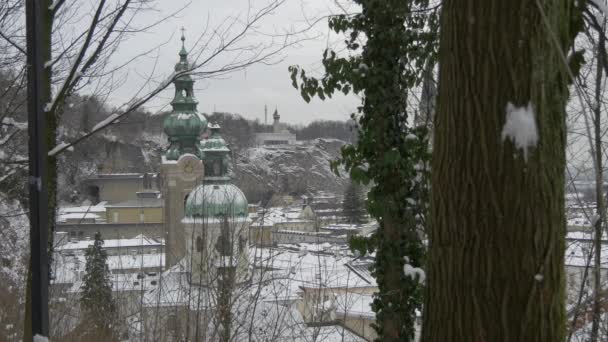 Saint Peter Cathedral Winter Day — Stock Video