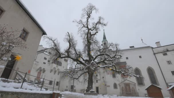 Drzewo Liściaste Wewnętrznym Dziedzińcu Twierdzy Salzburg — Wideo stockowe