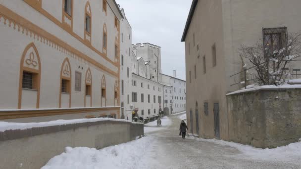 View Buildings Salzburg — Αρχείο Βίντεο