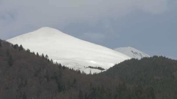 覆盖着雪和森林的山 — 图库视频影像