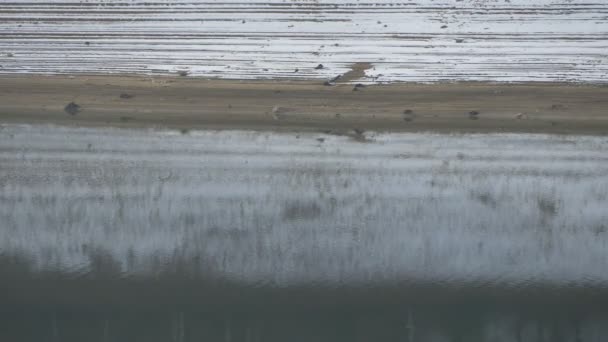 Sjön Med Snöig Strand — Stockvideo