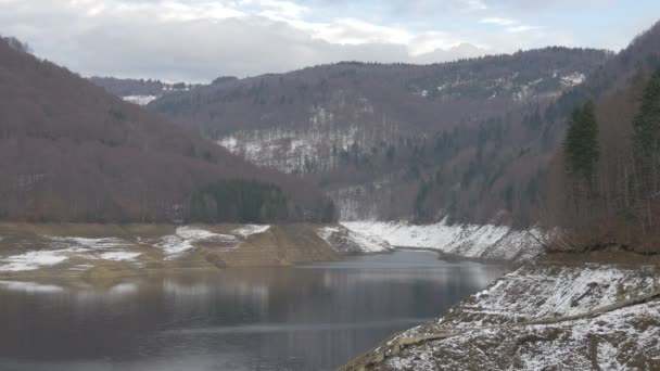 Lago Bosque Durante Invierno — Vídeos de Stock