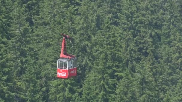 Téléphérique Rouge Déplaçant Près Une Forêt — Video