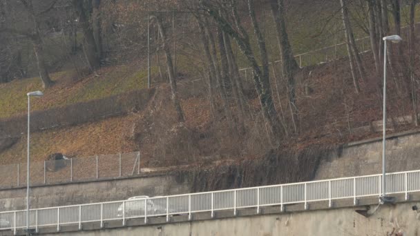 Conducir Coches Una Carretera Largo Bosque — Vídeos de Stock