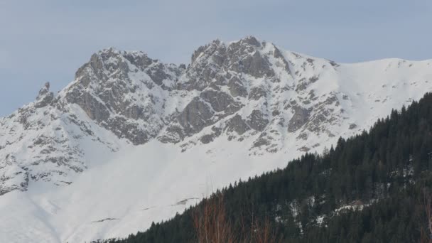 Montanha Coberta Neve Uma Floresta — Vídeo de Stock