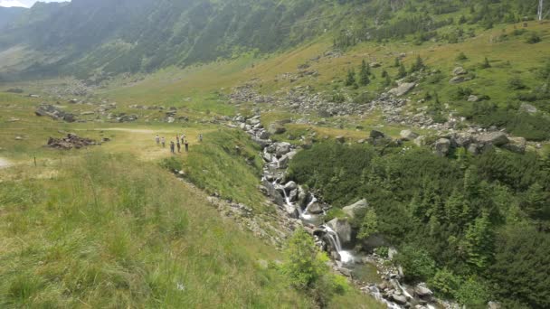 Small Waterfall Fagaras Mountains — Stock Video