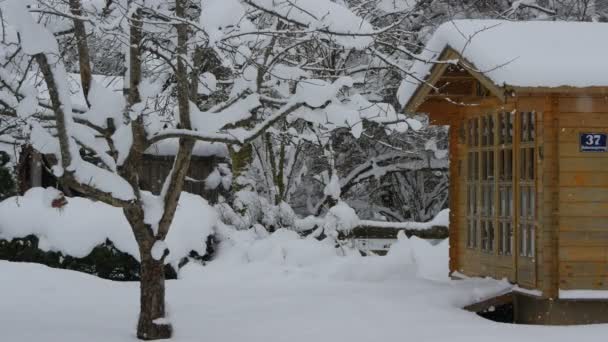 Pequeña Casa Madera Vista Día Invierno — Vídeo de stock