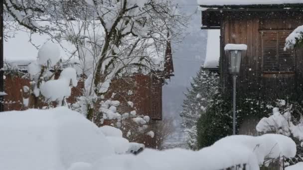 木や木の家の上の雪 — ストック動画