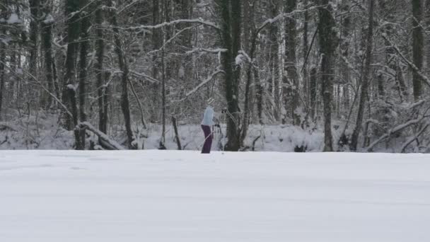 Skitourengeherin Der Nähe Des Waldes — Stockvideo