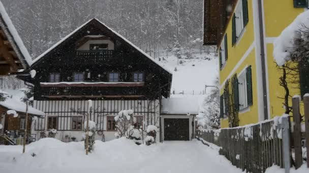 Floresta Neve Sobre Casa Hallstatt — Vídeo de Stock