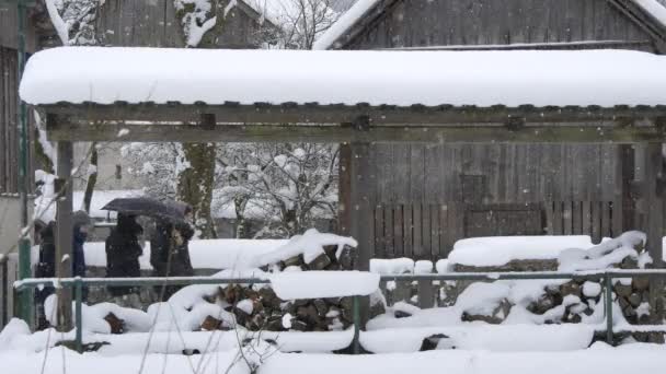 Schneehaufen Aus Baumstämmen — Stockvideo