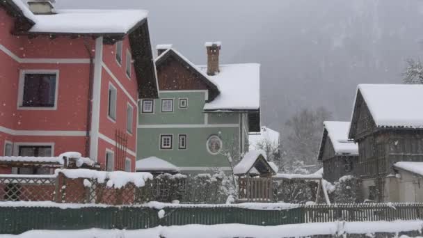 Rosa Casas Verdes Día Invierno — Vídeo de stock