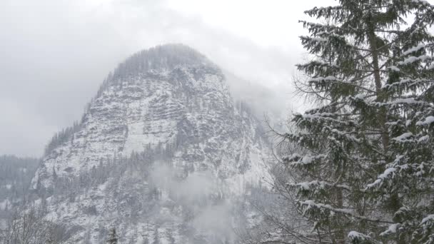 Berg Mit Schnee Bedeckt — Stockvideo