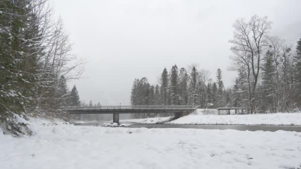 Brücke Über Den Fluss Winter — Stockvideo