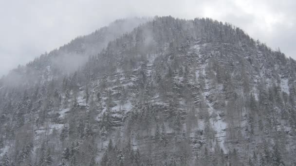 Berggipfel Mit Schnee Bedeckt — Stockvideo