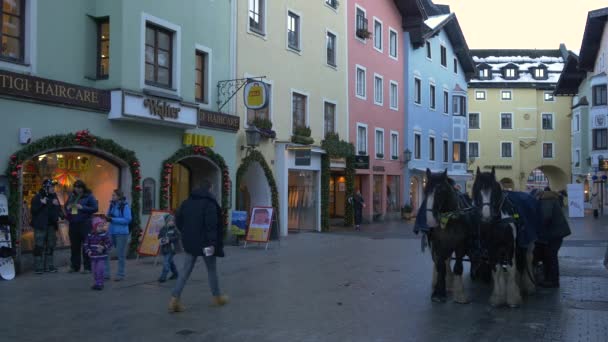 Konie Powozami Kitzbhel Austria — Wideo stockowe