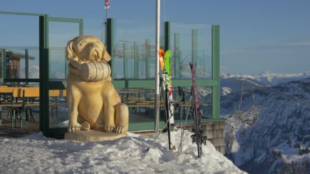 Statue Eines Bernhardiner Rettungshundes — Stockvideo