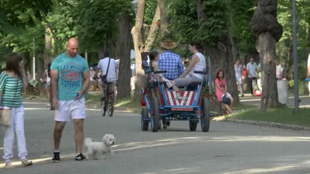 ワゴンと人々と公園の路地 — ストック動画
