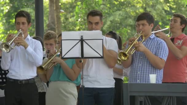 Footage People Park Young People Playing Trumpets — стоковое видео