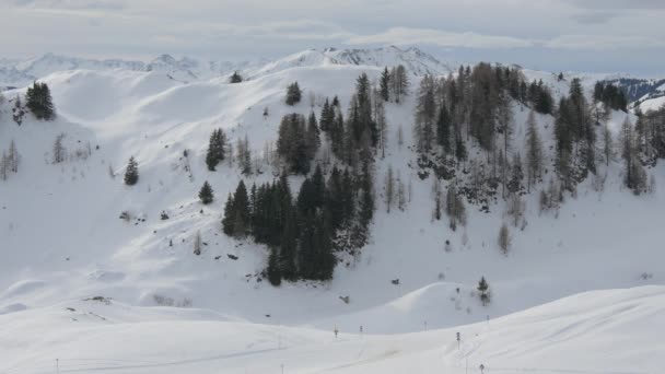 覆盖着积雪和冷杉树的山 — 图库视频影像