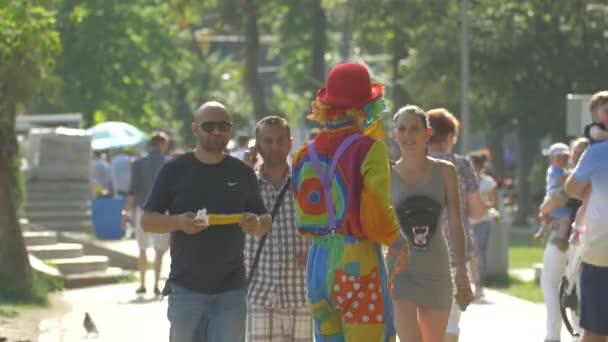 Κλόουν Διασκεδάζει Στο Πάρκο — Αρχείο Βίντεο