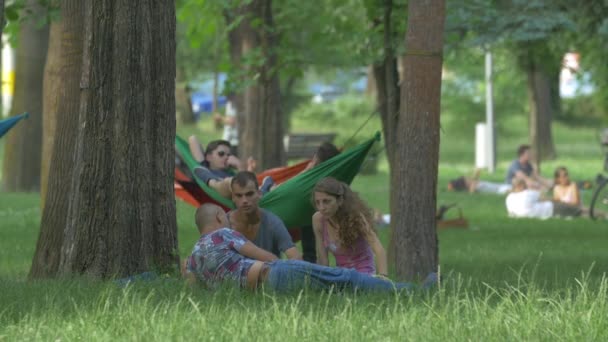 Друзі Сидять Траві Парку — стокове відео
