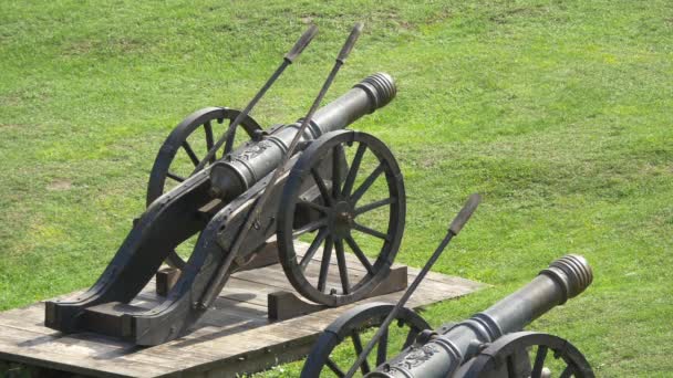 Old Cannons Field — Vídeo de Stock