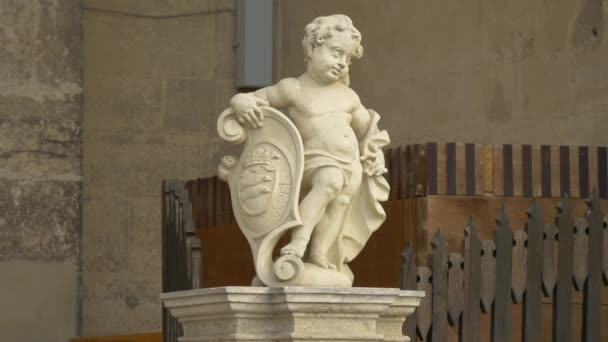 Escultura Frente Catedral Católica Romana Alba Iulia — Vídeo de Stock