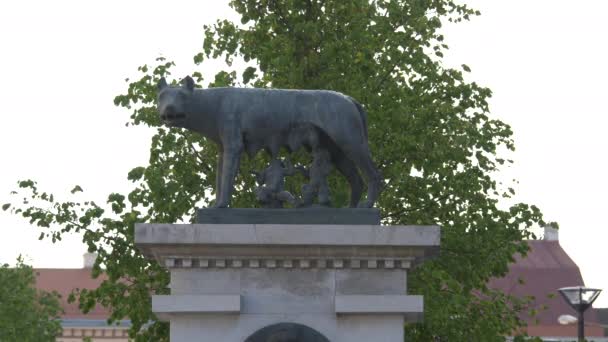 Uitzicht Capitoline Wolf Standbeeld — Stockvideo