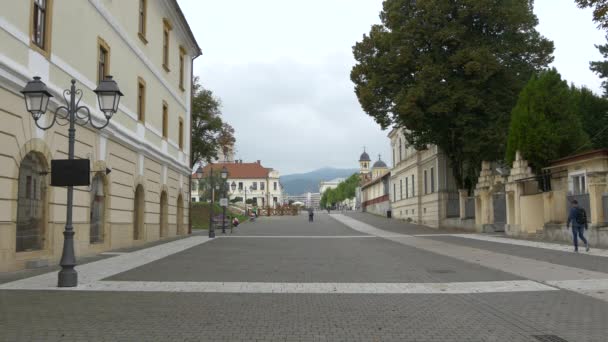 Alba Iulia Erődjének Utcája — Stock videók