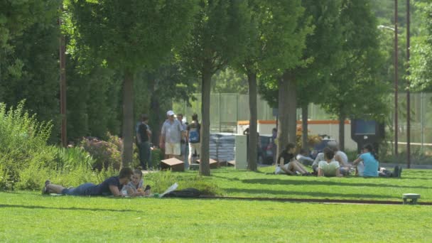 Marcher Coucher Dans Parc — Video