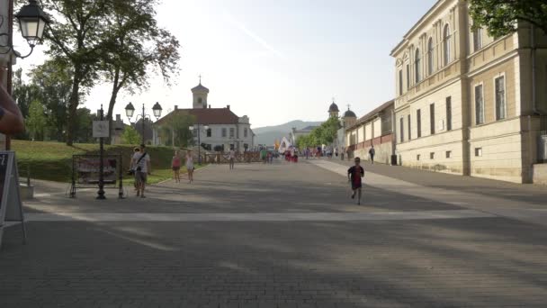 Alba Iulia Erődjének Sikátora — Stock videók